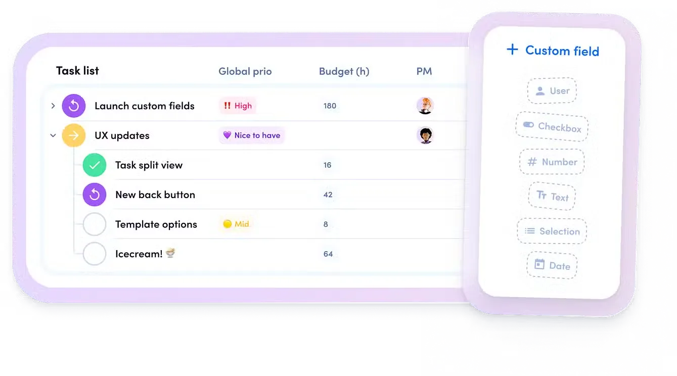 Custom Fields
